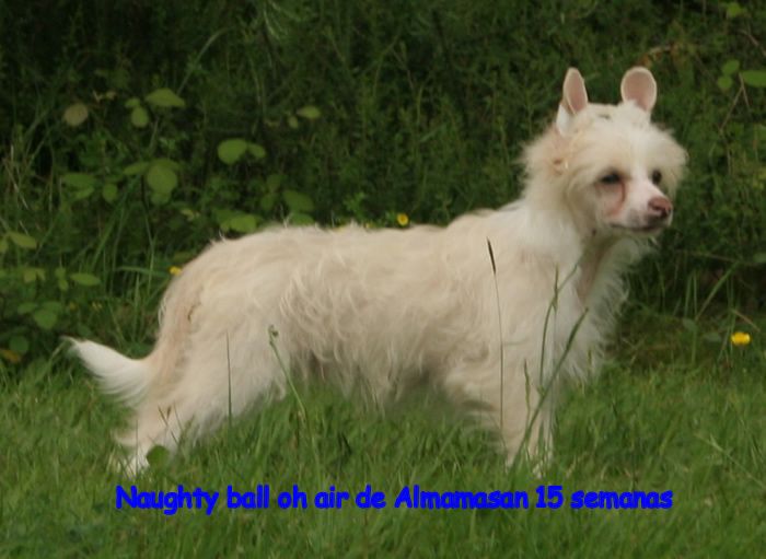 Naughty ball oh air de Almamasan