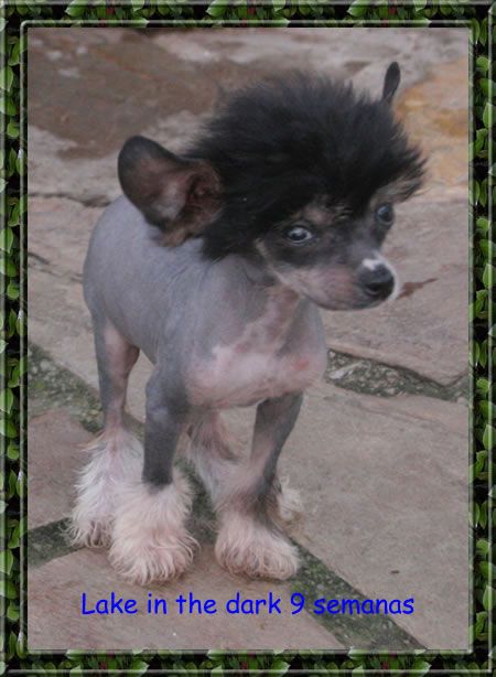 Lake in the dark de Almamasan