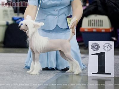 Premier Mari Djulieta