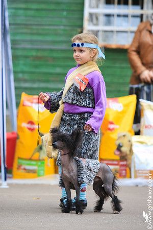 Premier Mari  Korleone