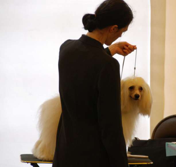 Landkris Bourjois Creme Premier