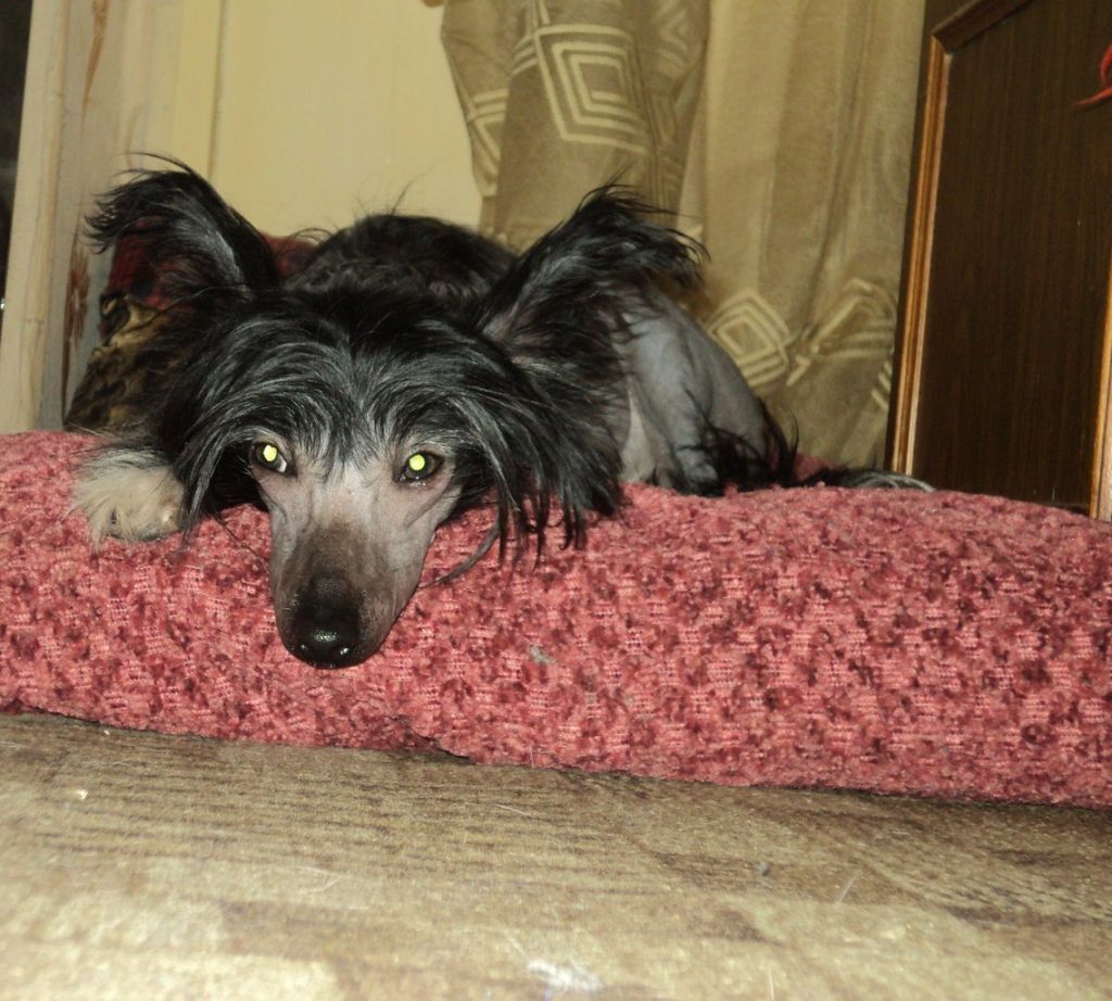 Landkris Becky Thatcher