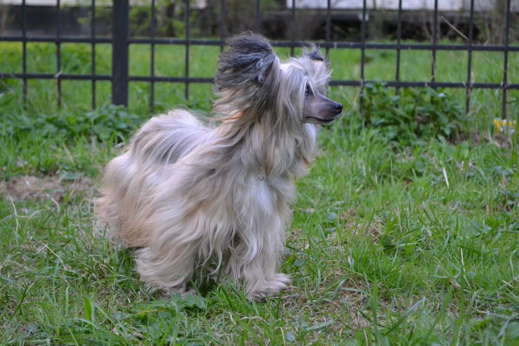 Landkris Vida Vinter