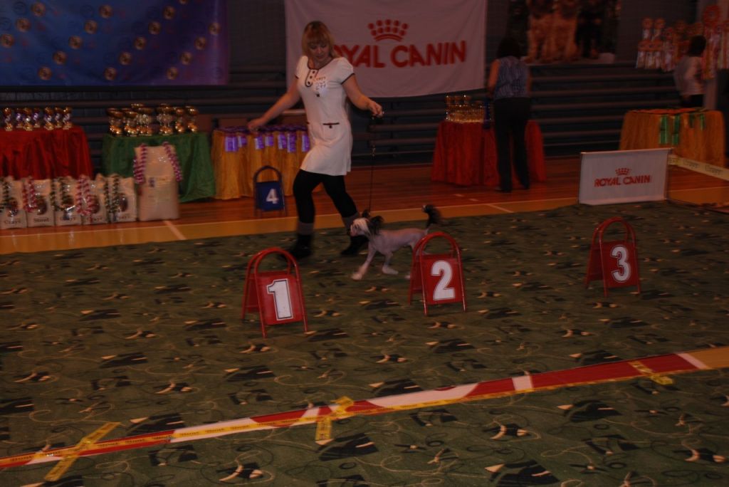 Landkris Whisky Victorious