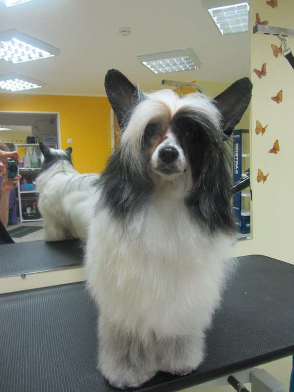 Landkris Vaale Petra Oldmark