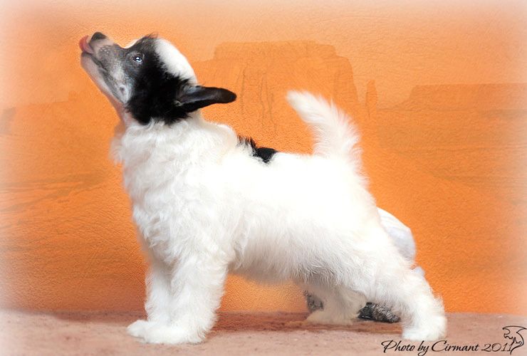 Kredo Festa Key To Eden