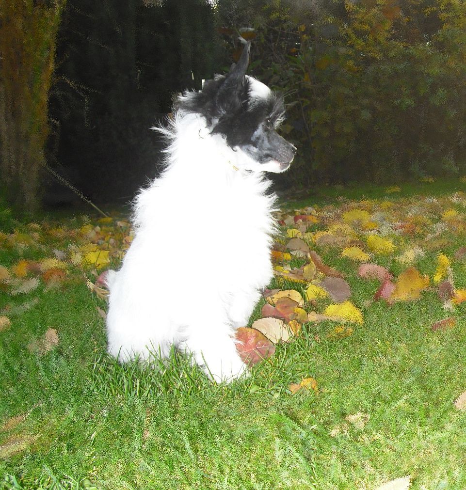 Yunao's Haruka Misaki Anzu