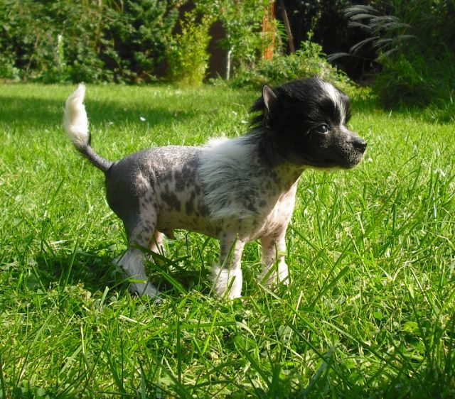 Yunao's Haruto Shari