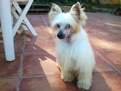 Camdem Town de Bullack