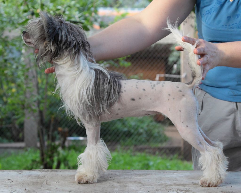 Premier Mari Jear Ptitsa