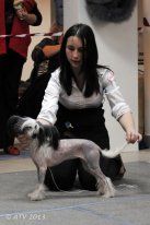 Premier mari Jemma Fantastik Kashmir