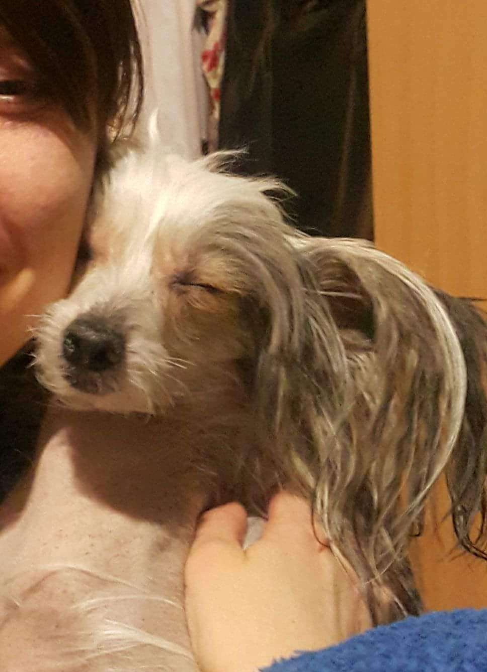 Malina Tigres Yukatan