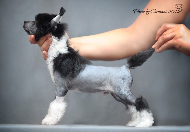 My Lucky Love Garnet Heart 