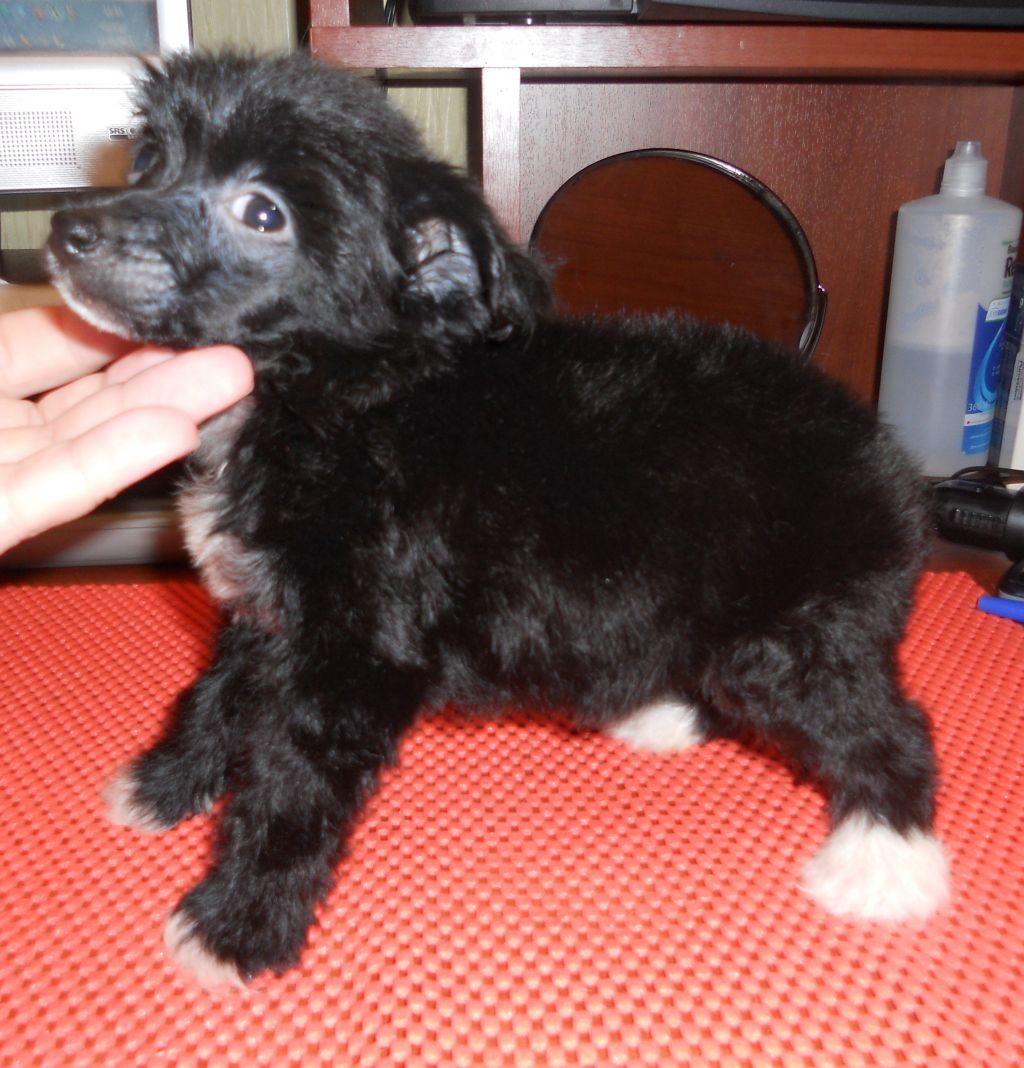 Fancy Style Heineken