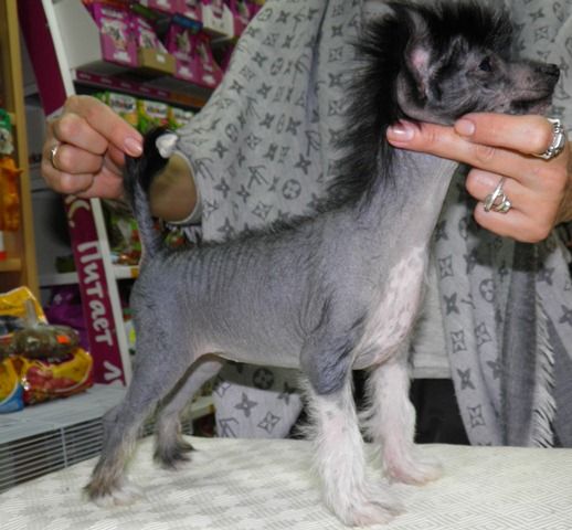 Bellas Kohana Aleksa's House