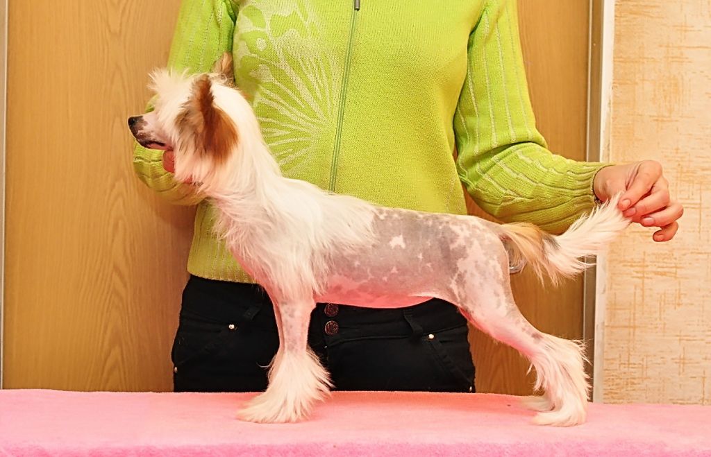 Karnelius Air of Time