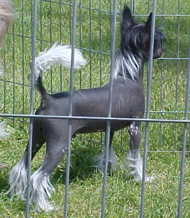 Hi-Life Andros Lets Make A Deal