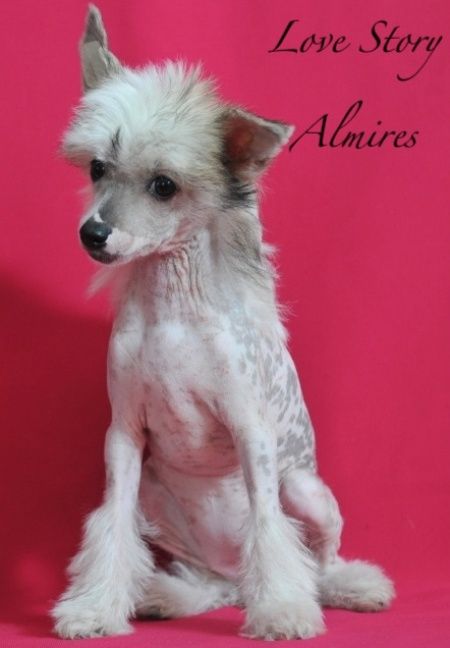 Love Story Almires