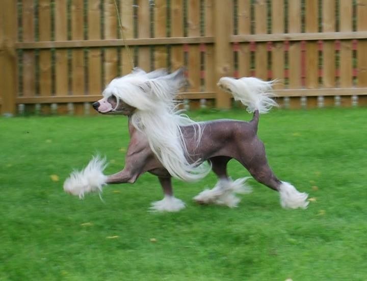 Moelmo's Keep Your Promise At Zucci