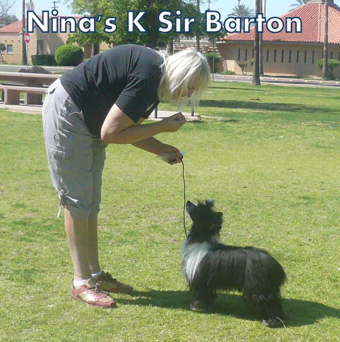 Nina's K Sir Barton