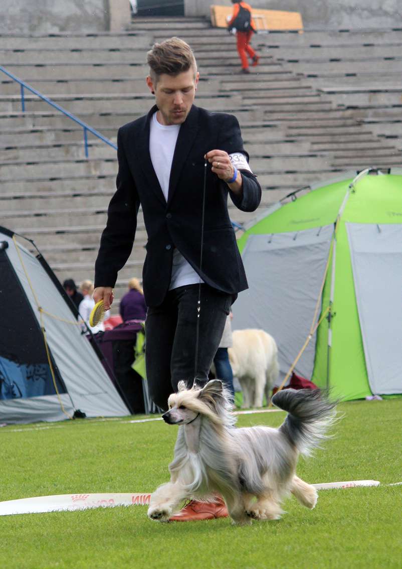 Arte Figure Gangsta's Paradise