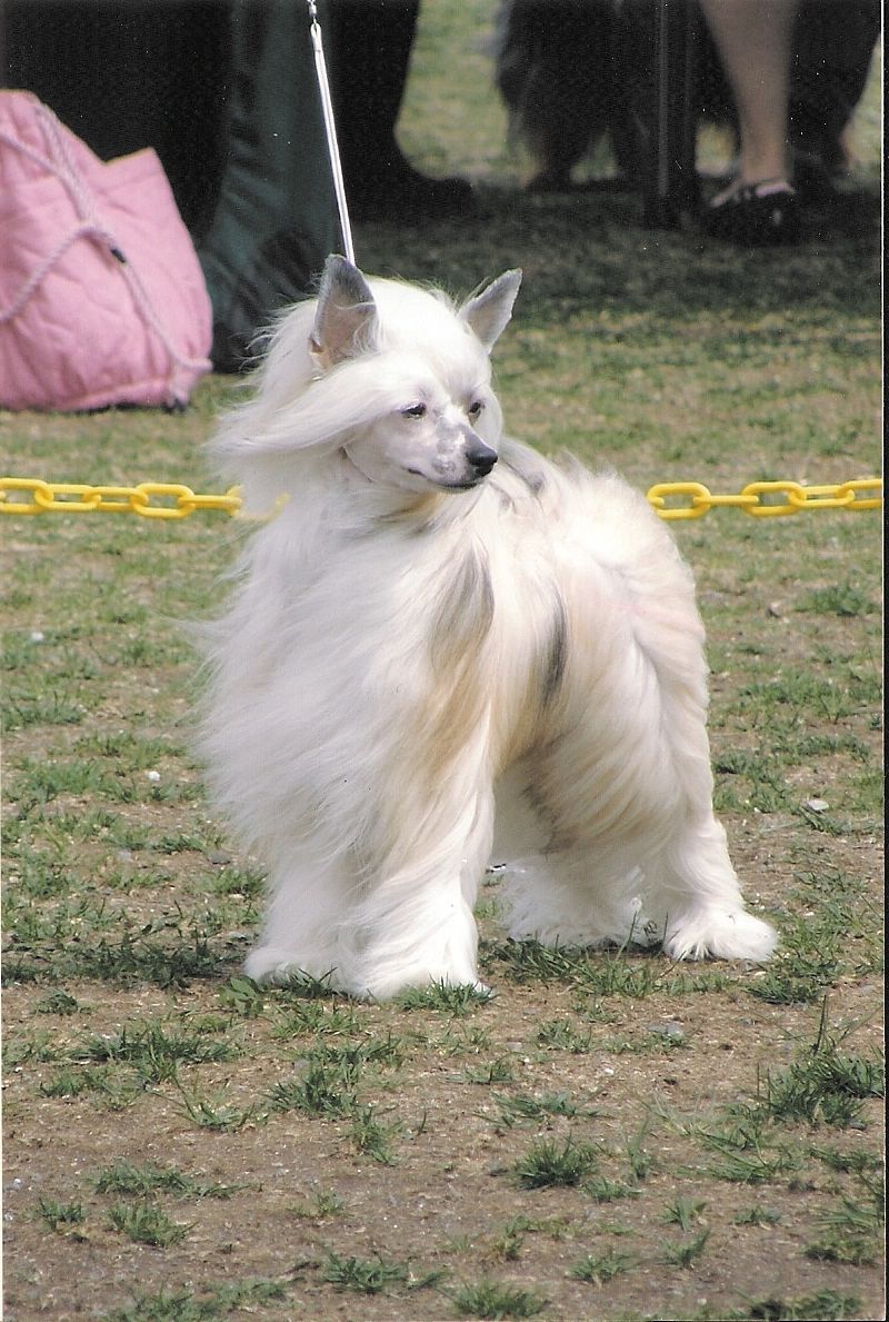 Encores I Want Magic