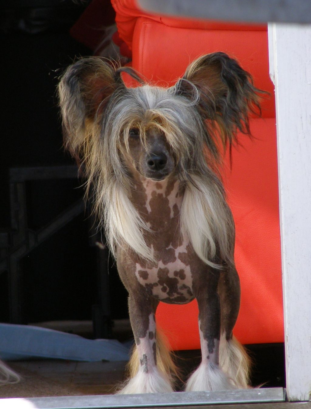 Habiba In The Line Of Fire