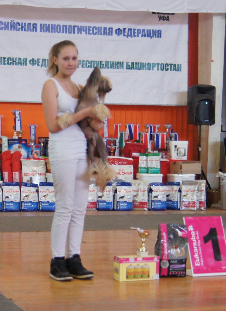 Karnelius Ya Hranitel' Dushi