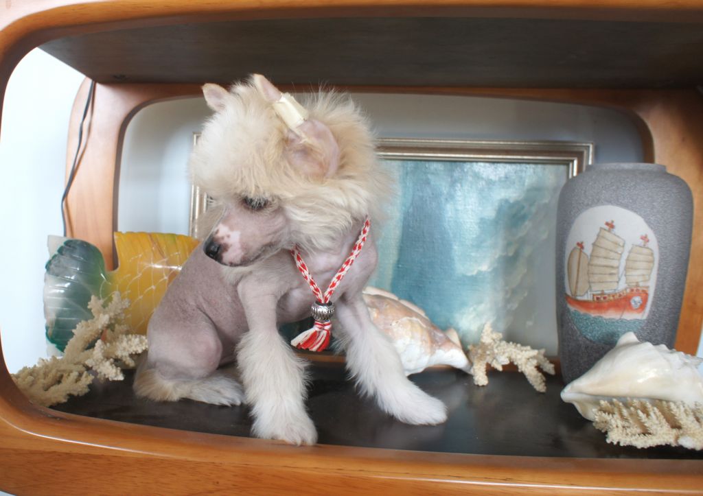 Endless Kiss Onegi my Delight