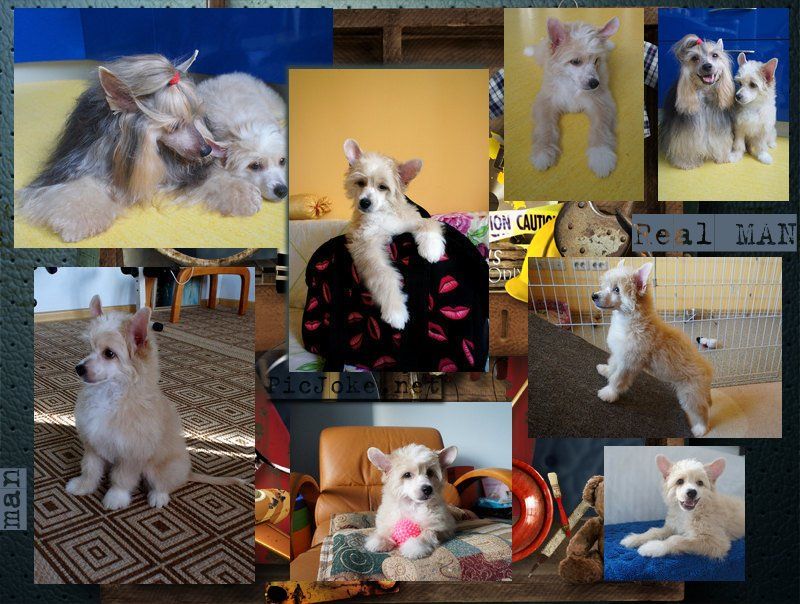 Endless Kiss Olav Excellent