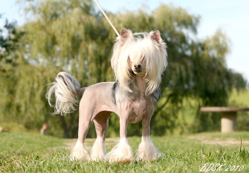 E-noemie For Mady's Love