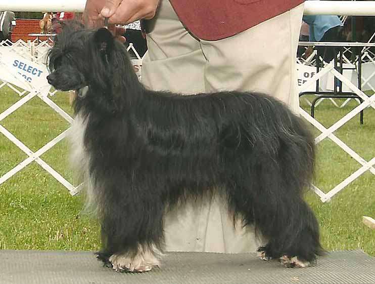 Fairway's Cut the Corner