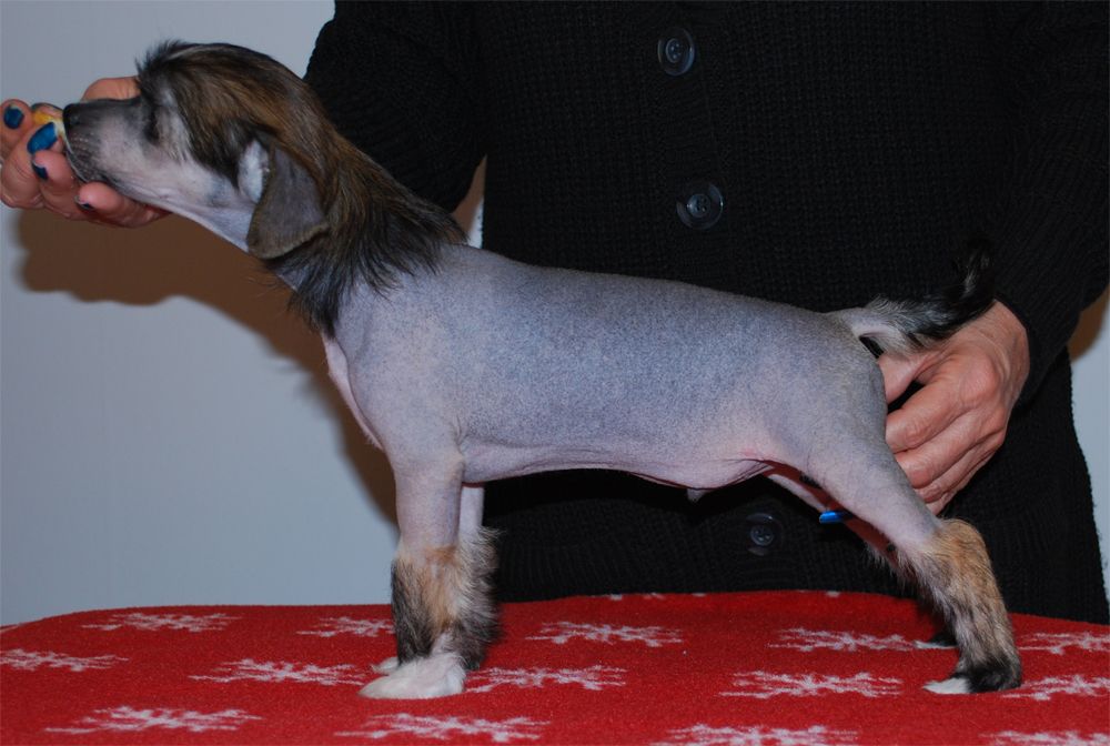 Väråsen Lord O'Soul