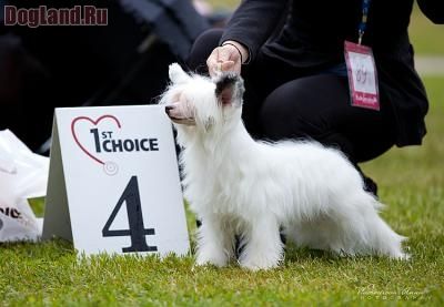 Zucci's little Miss Sunshine