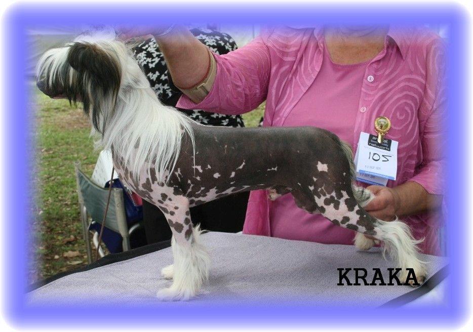 Liliah Just Because I Can