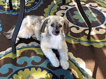 Cinondra 'N Wudnshu Coming Around Again