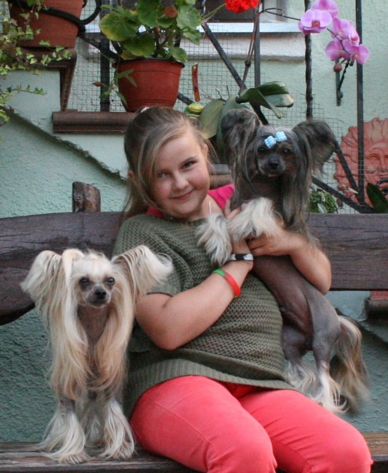 Tangomanija  Ambassador