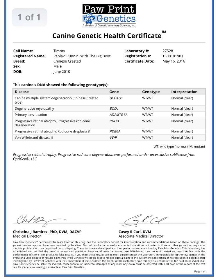 Pahlavi Runnin' With The Big Boyz