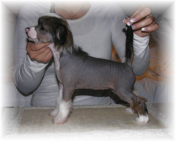 Rimabra's Knock Your Socks Off