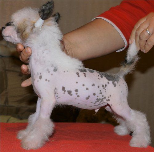 Cristallo Di Rocca Minodora