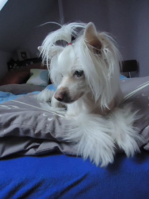 Ayla Jankovské údolí