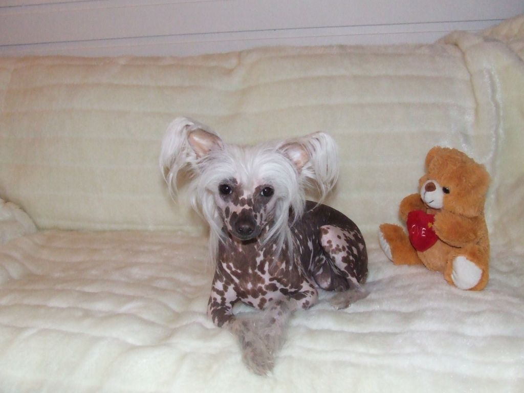 sørås-siden's snow flake