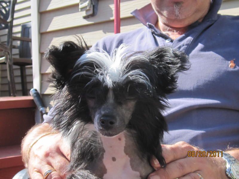 Nu Poil's My Little China Girl