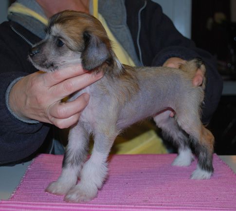 SandruS Donna Karann