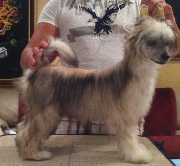 Cristalls Running With the Boyz