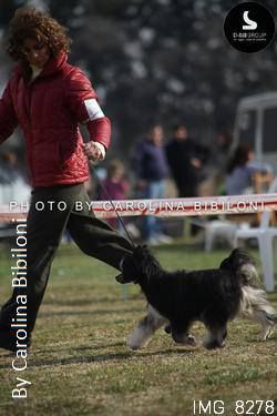 Me Peindre Toulouse FalaZairroo