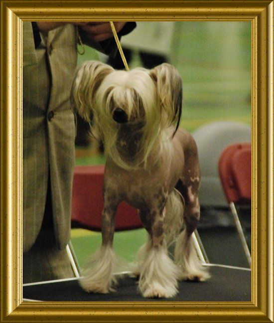 Me Myself and I of Roxy's Pride