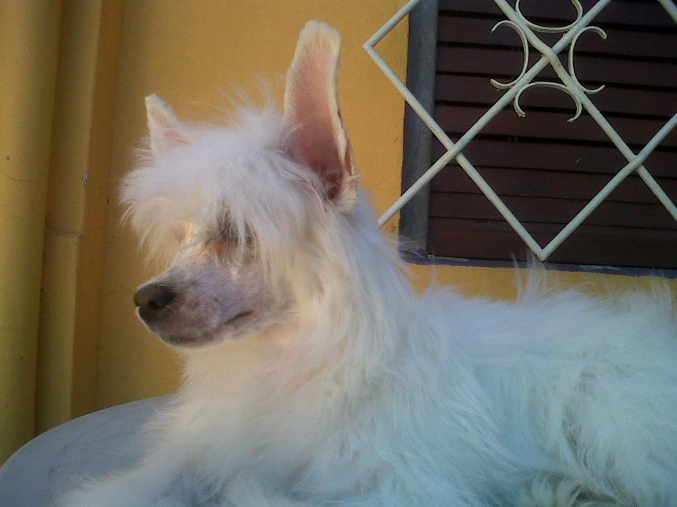 saint christopher's magic Odesa