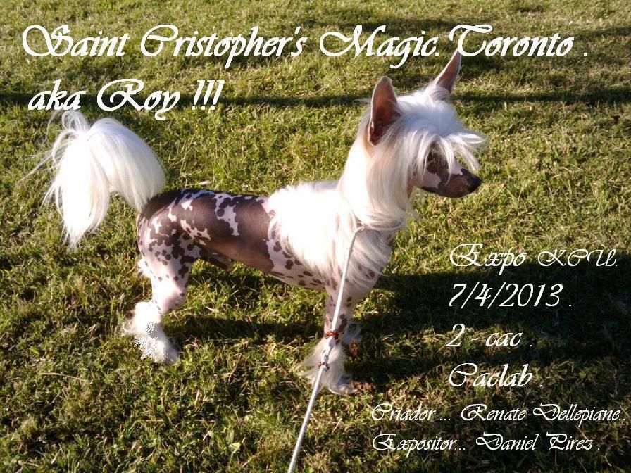 Saint christopher's magic Toronto