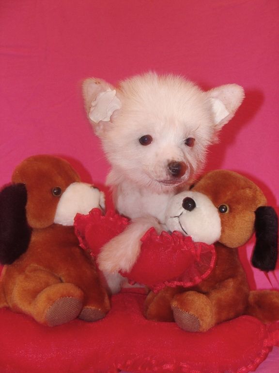 Patricia Black of Channel